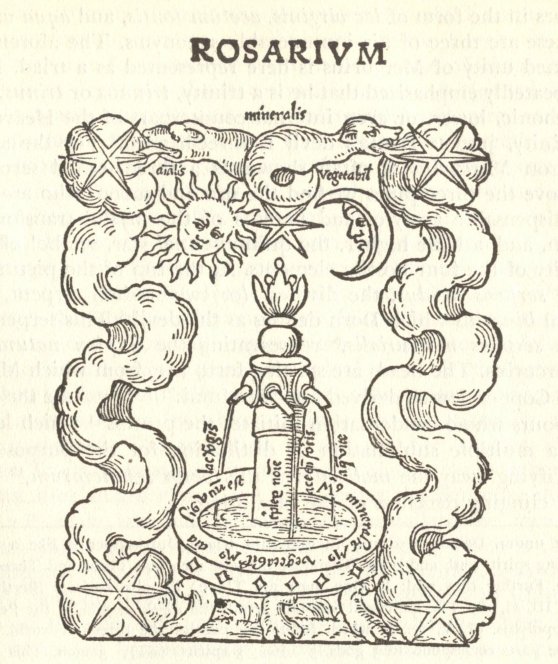 Rosarium 1